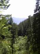 4.30.06 Hamilton Mountain 010 